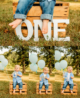 MILESTONES